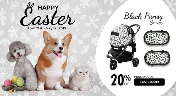 EASTER SPECIAL OFEER 20% Off, Black Pansy Series