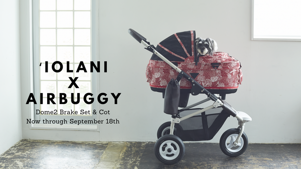 Iolani Series – AIRBUGGY for Pet