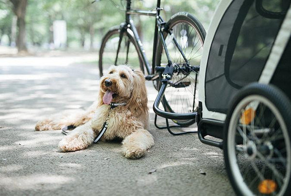 Pawhut folding discount dog bike trailer