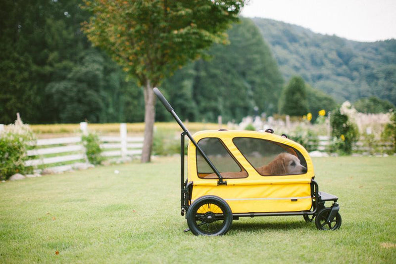 Carriage at the camp