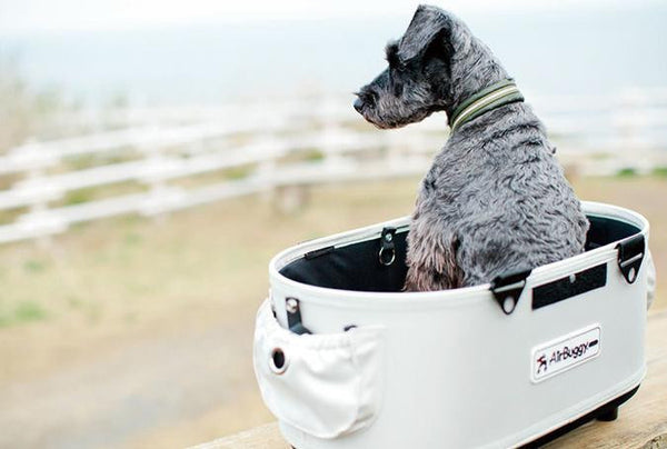 DOME 2 SM COT | AIRBUGGY for Pet US |