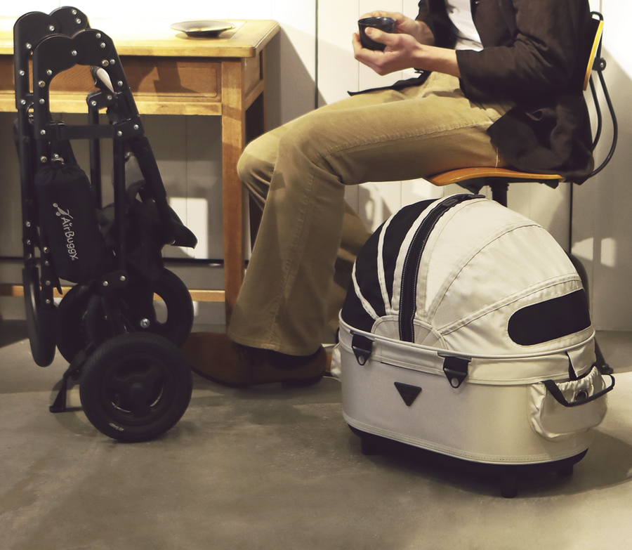 easy_900x.png?v=1642147800