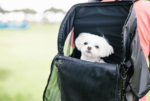 timbuk2 backpack dog Muttmover Luxe Jet Black Medium Overhauled and modernized Timbuk2 Muttmover Light Backpack |