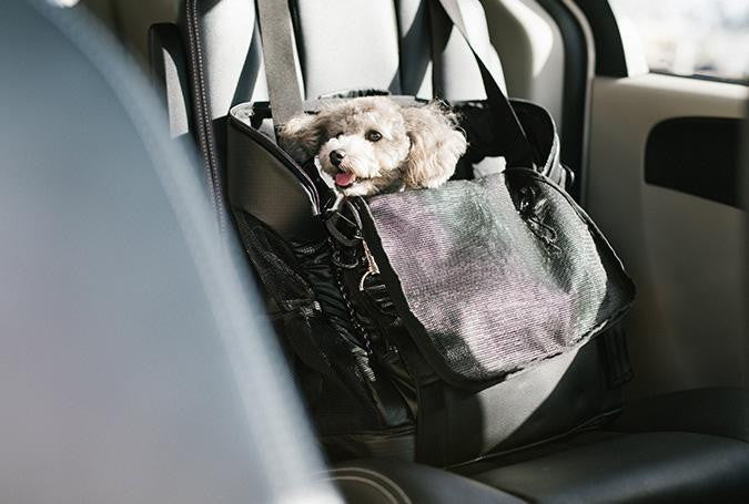 3 Way Back Pack Carrier with dog ISOFIX