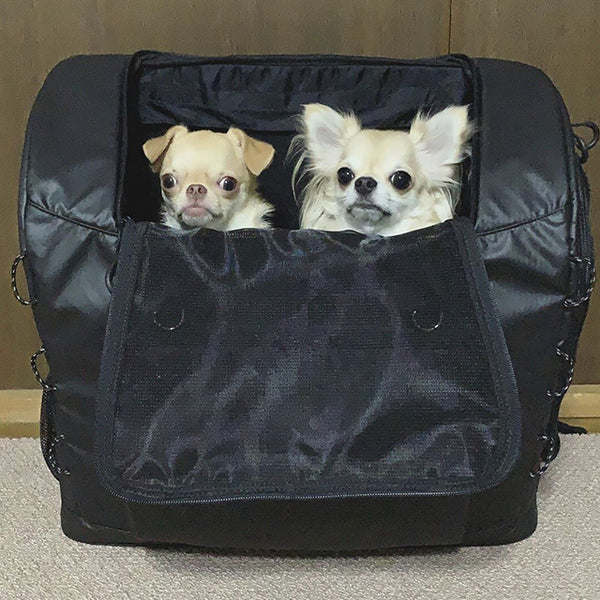 3 WAY BACK PACK CARRIER for Dog | AIRBUGGY for Pet US | Pet Back