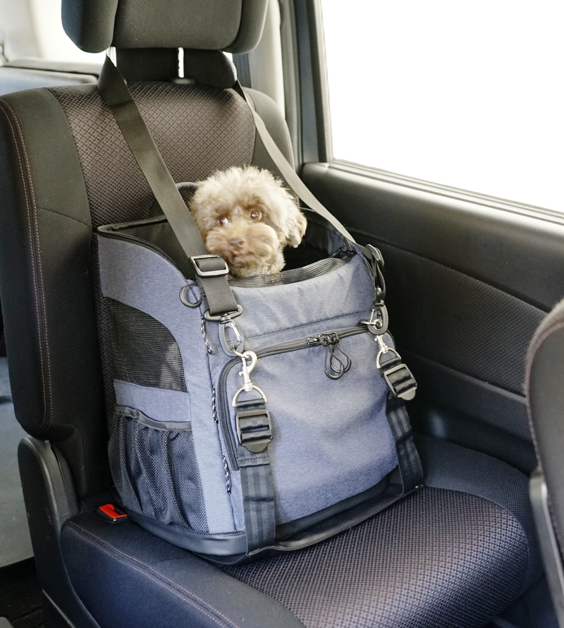 ISOFIX BELT with 3 Way Back Pack Carrier